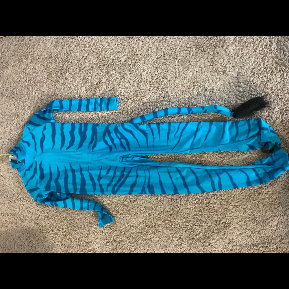 Adult small avatar costume